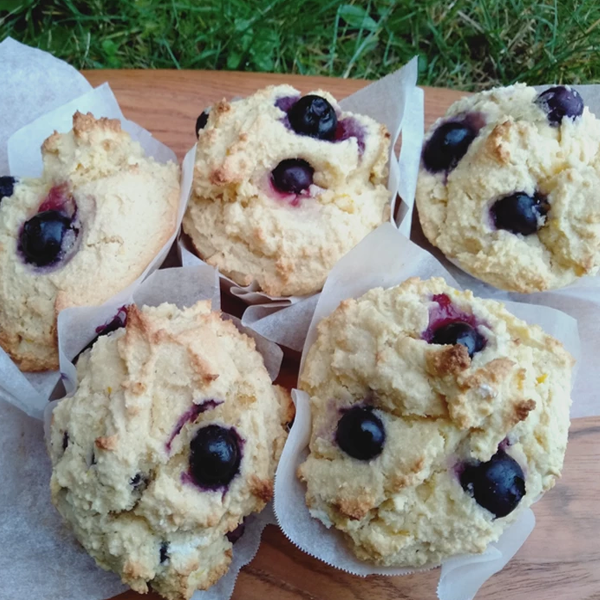 Gluten Free Lemon & Blueberry Scuffins (Half scone/Half muffin = scuffins)